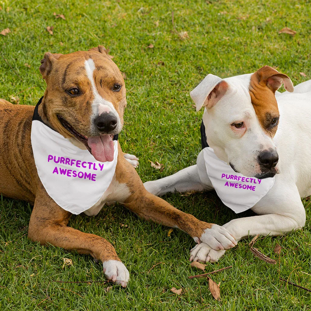 Awesome Pet Bandana Collar - Funny Saying Scarf Collar - Cool Dog Bandana