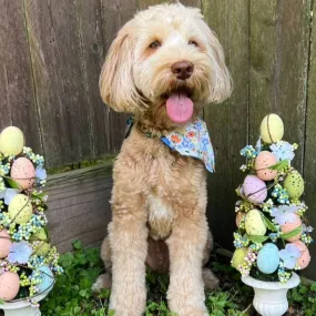 Spring and Easter Dog Bandana