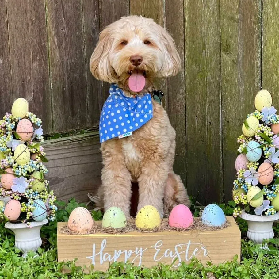 Spring and Easter Dog Bandana